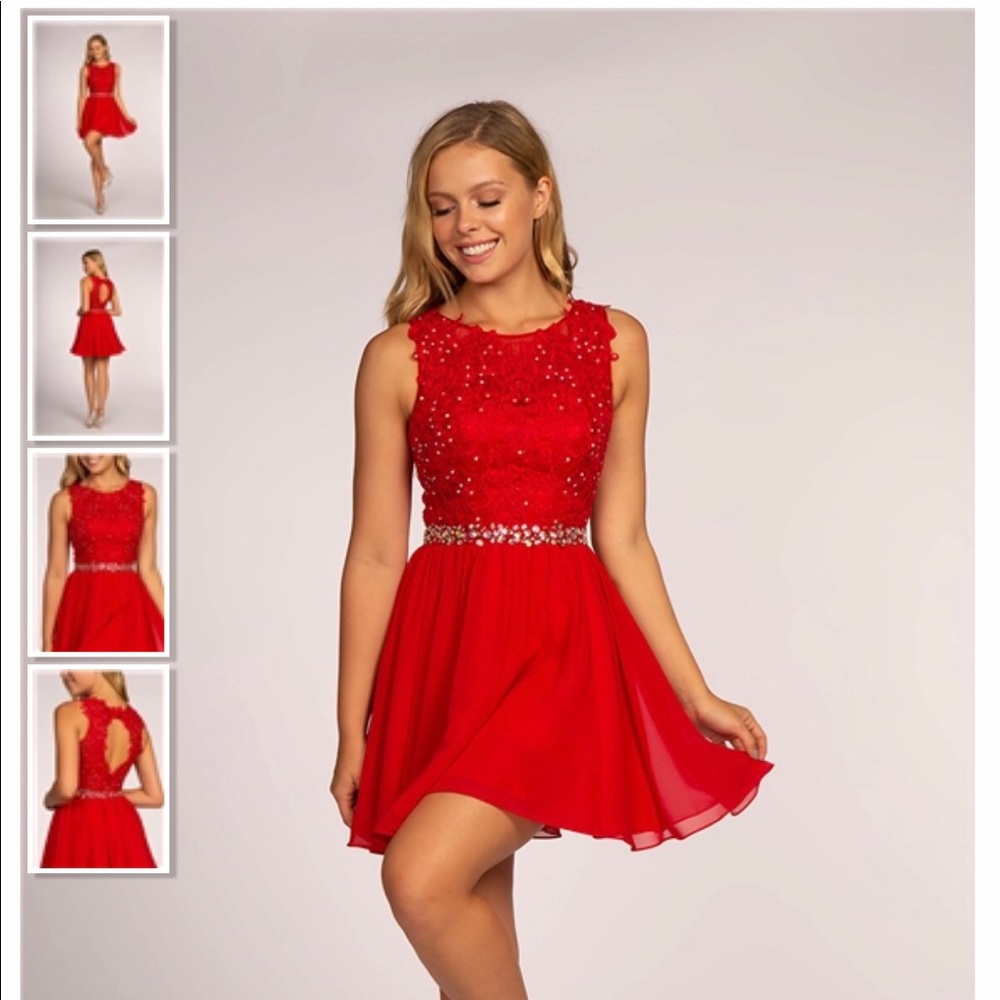Red Embroidered Chiffon Short Dress